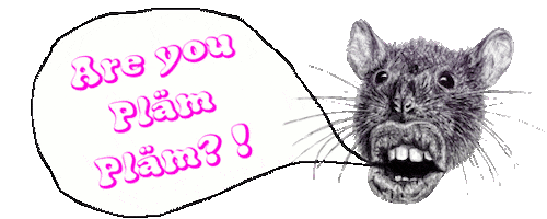Art Rat Sticker