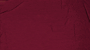 College Baseball GIF by Pearl River Athletics