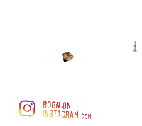 Ammu10 Sticker by BORN ON INSTAGRAM