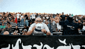 Soccer Celebrate GIF by Oakland Roots SC