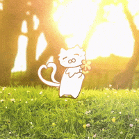 Happy Peace GIF