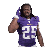 Minnesota Vikings Football Sticker by NFL