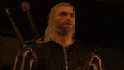 Witcher 3 GIF by The Witcher