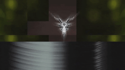Art Video GIF by jorgemariozuleta