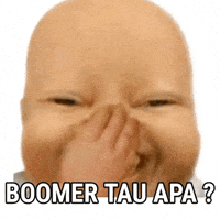 Boomer GIF
