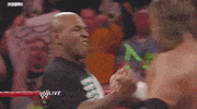 triple h wrestling GIF by WWE