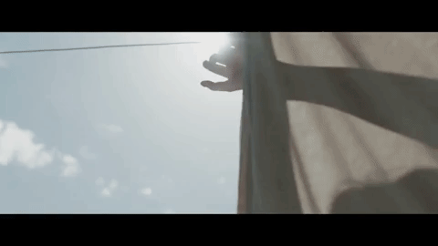 hounds of love GIF