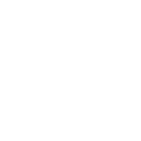 Stars Leo Sticker
