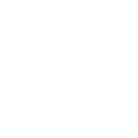 Stars Zodiac Sticker
