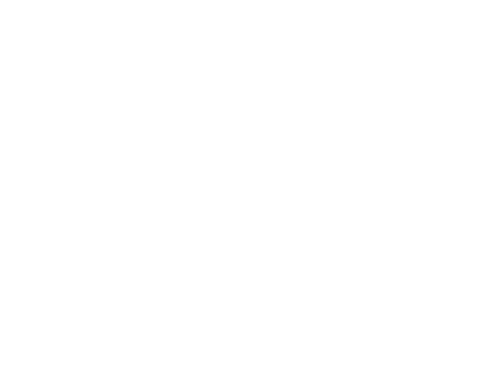 Ywn Sticker by Young women network