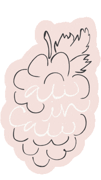 Wine Grapes Sticker by Alexandra Five