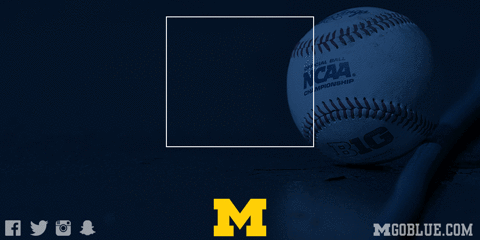 go blue michigan baseball GIF by Michigan Athletics