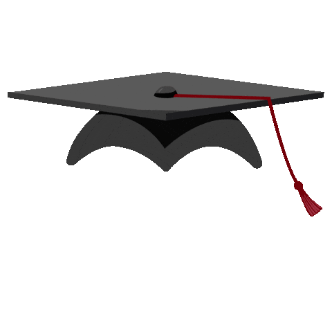 Graduation Sc Sticker by University of South Carolina