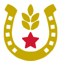 Party Drinking Sticker by Stem Ciders