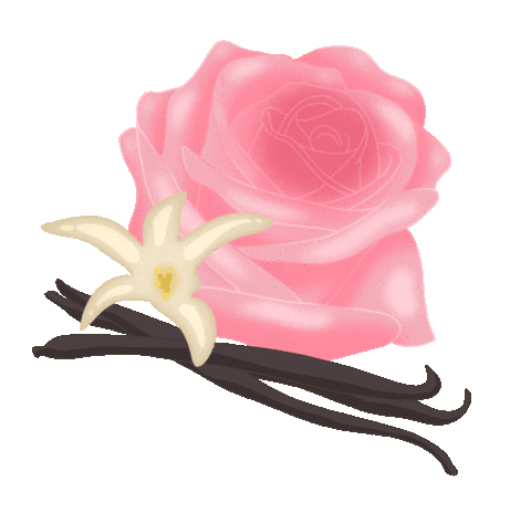 Vanilla Bean Flower Sticker by Each and Every