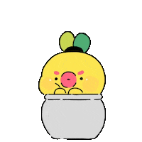 Danji Sticker