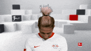 Line Up Hello GIF by Bundesliga