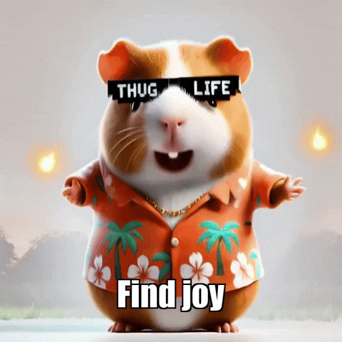 Wisdom Delight GIF by Guinea Gambino