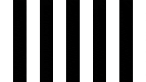 Football Sport GIF by SK Sturm Graz