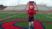 Big Red Raiders GIF by Shippensburg University