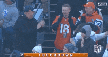Regular Season Football GIF by NFL