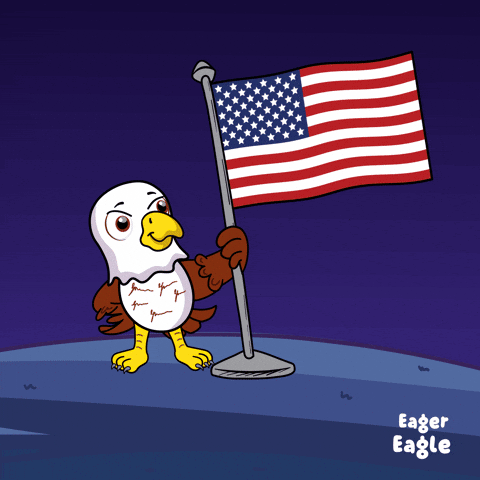 Day Usa GIF by VeeFriends