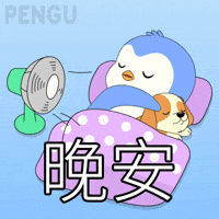 Pengu GIF by Pudgy Penguins