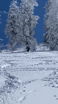 GIF by bogus basin