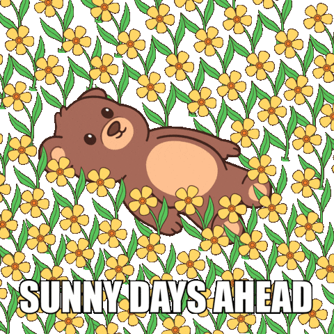 Happy Teddy Bear Sticker by BEARISH