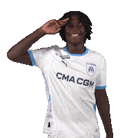 Ligue 1 Football Sticker by Olympique de Marseille