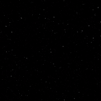 Internet Crypto GIF by Nexus