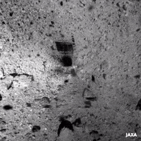 space asteroid GIF by Science Friday