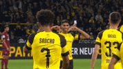 football soccer GIF by Borussia Dortmund