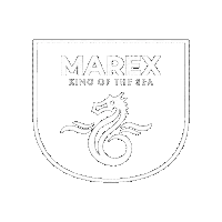 M Sticker by Marex
