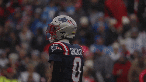 Football Nfl GIF by New England Patriots