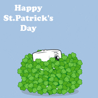 St Patricks Day Bitcoin GIF by Ordinary Friends