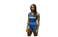 College Sports Ncaa Sticker by Delaware Blue Hens