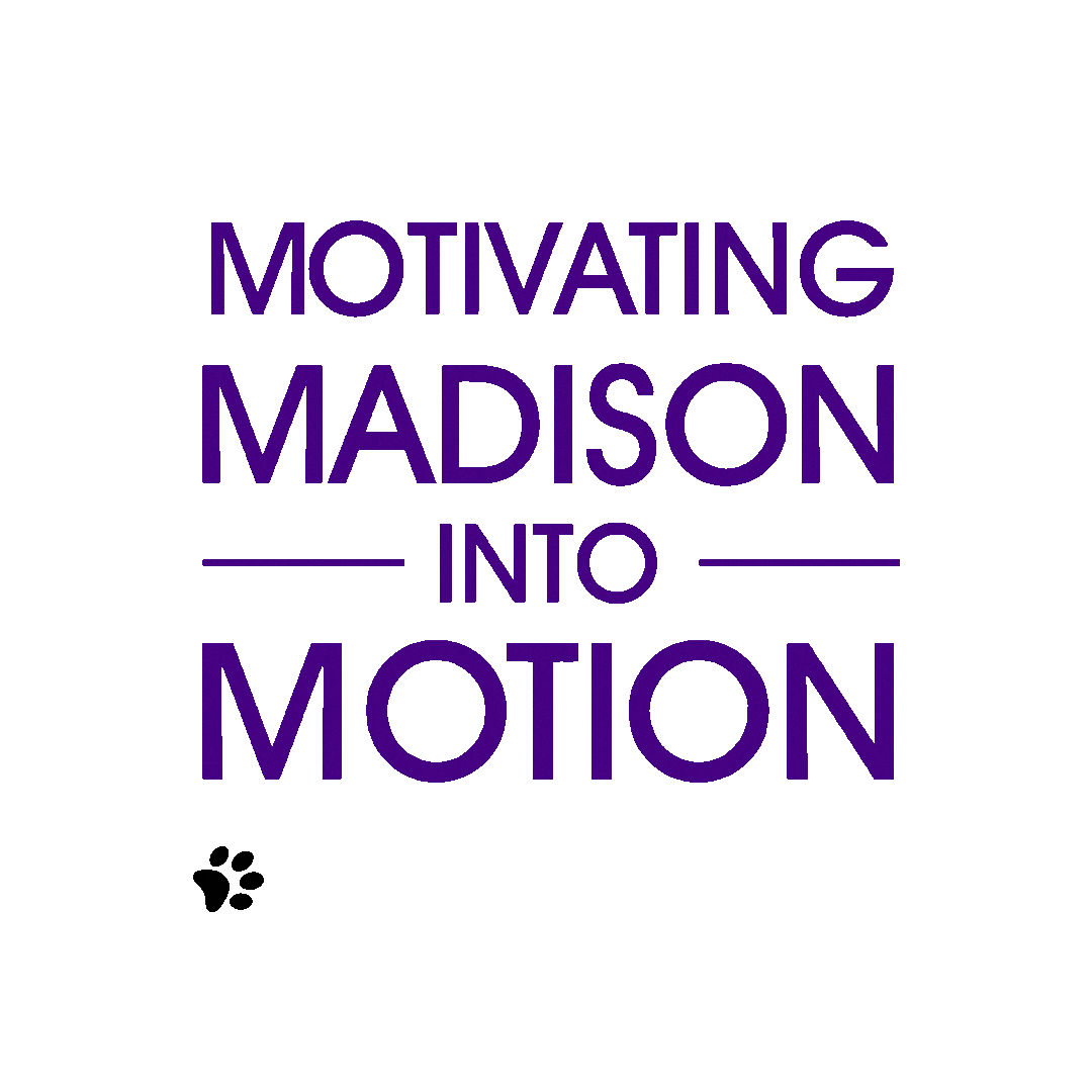 College Go Dukes Sticker by James Madison University