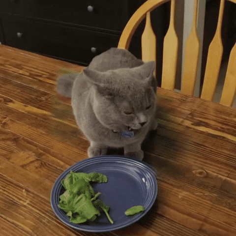 veggies GIF
