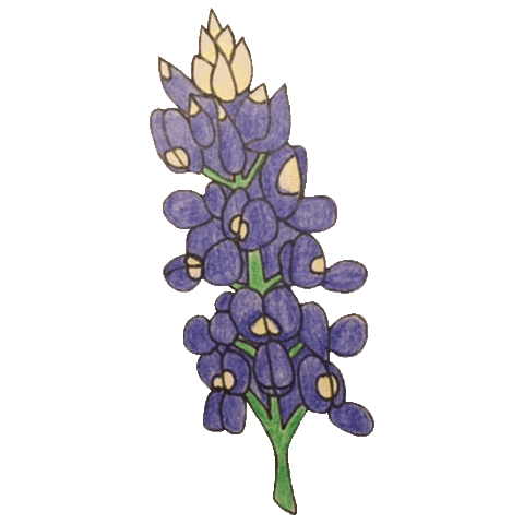 helpaustinnow fun illustration blue flower Sticker