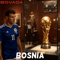 World Cup 2026 Bosnia GIF by Bovada