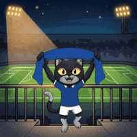 Lets Go Omg GIF by CATBAT