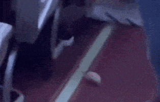 cuteanimalland giphyupload GIF