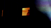 mergerecords love the future merge records dear leader GIF