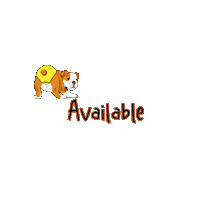 Dundies dog puppy undies nappy Sticker