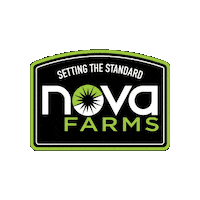 Weed Cannabis Sticker by Nova Farms