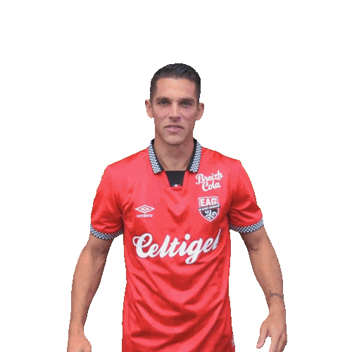 Football Footy Sticker by EA Guingamp