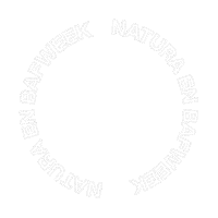 Fashion Moda Sticker by Natura Cosmeticos