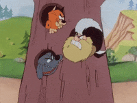 tex avery 1980s GIF by Warner Archive