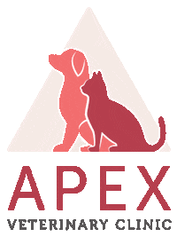 apexvets apex apexvets apexveterinary apexvet Sticker